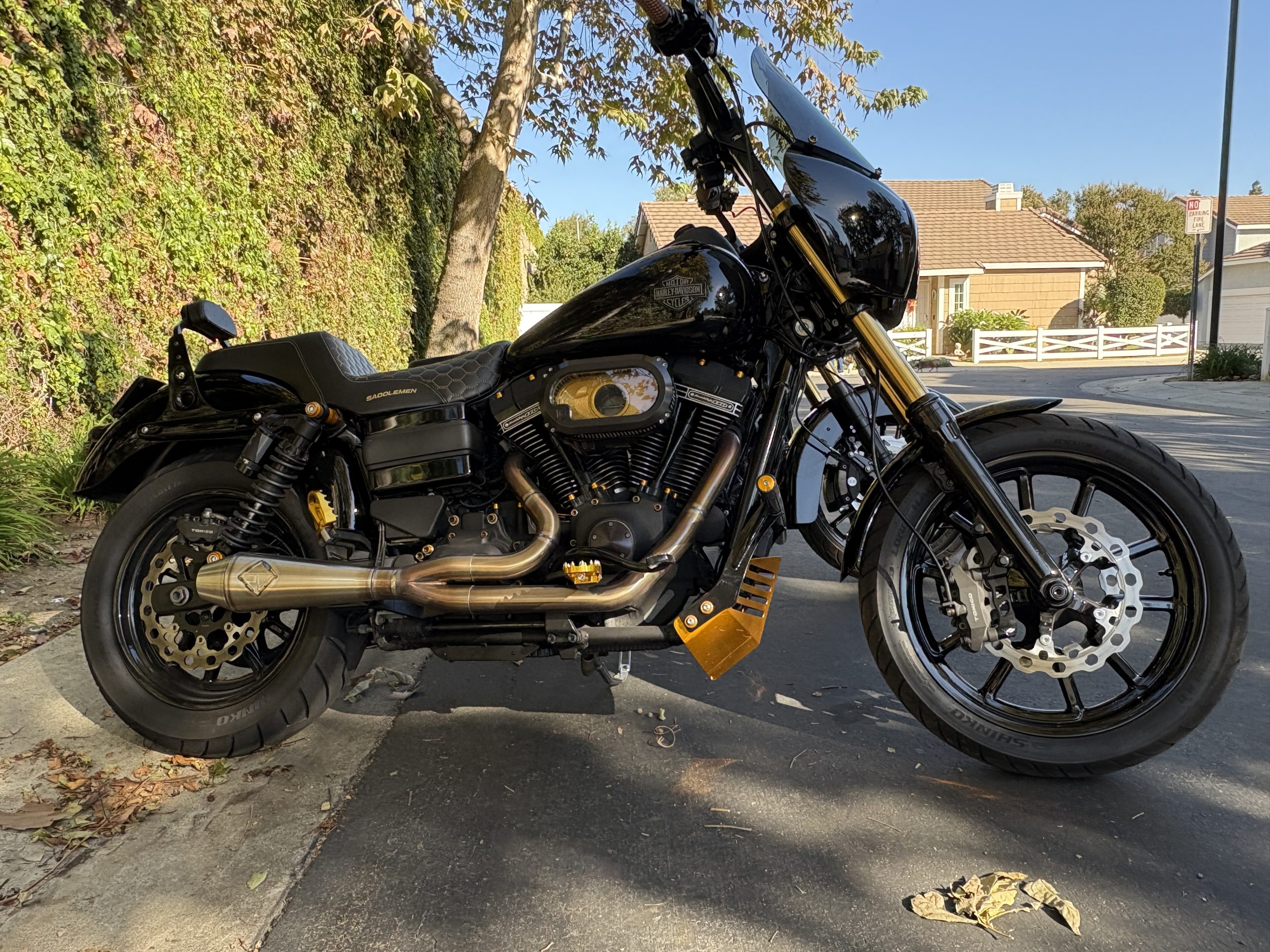 2017 Dyna Lowrider S FXDLS