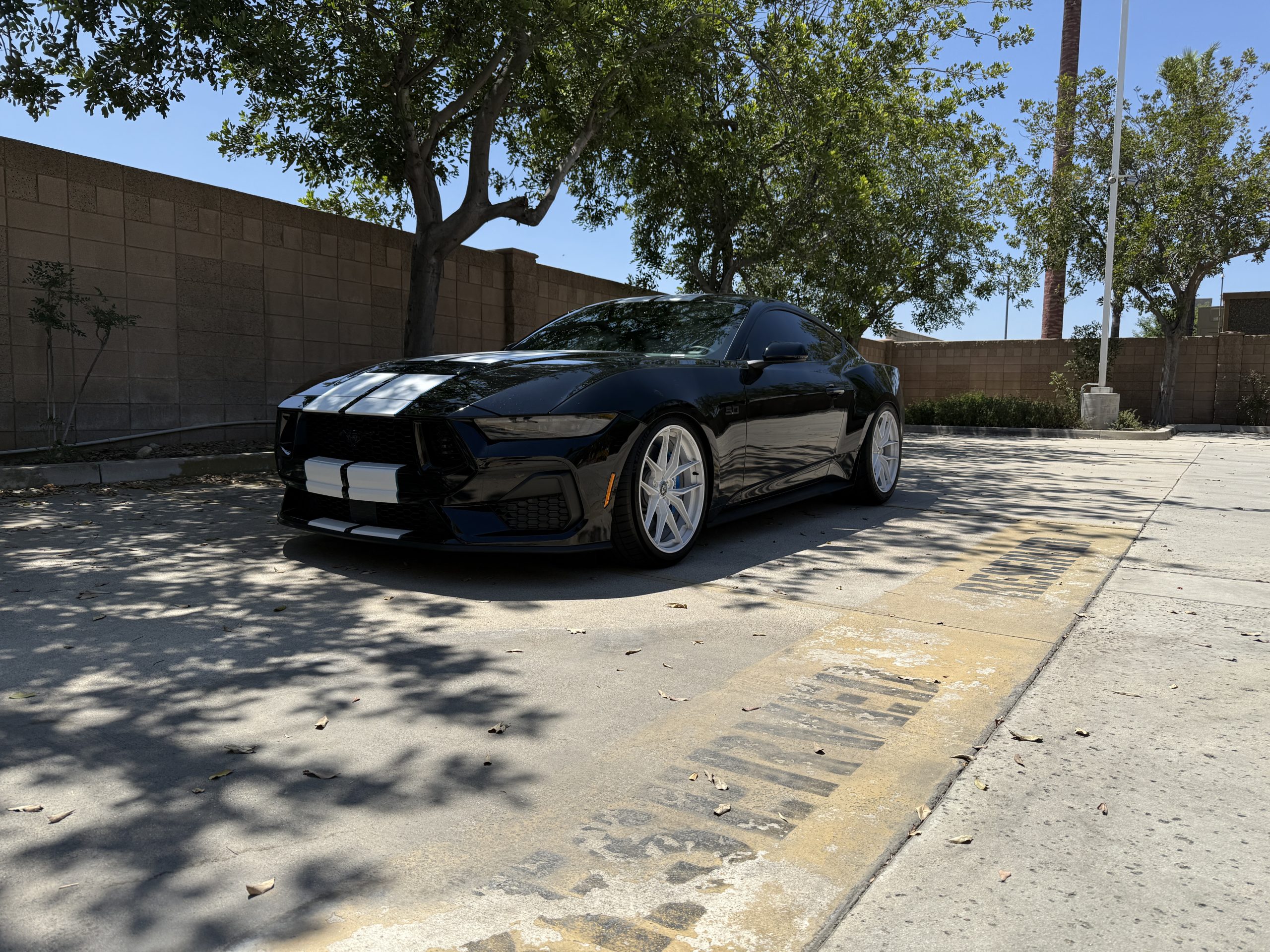 Manual 24′ Mustang GT (810hp)